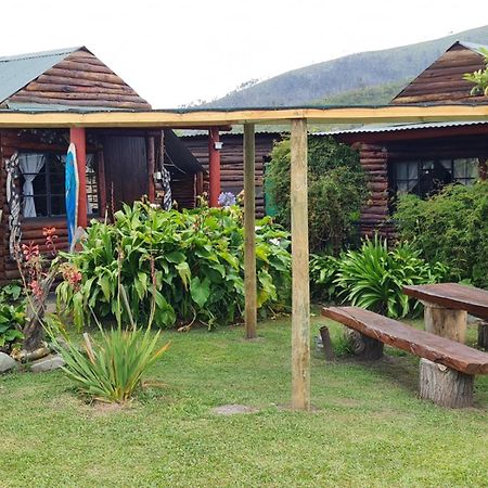 Tsitsikamma Wolf Sanctuary Eco Cabins & Teepees Stormsrivier Exterior foto