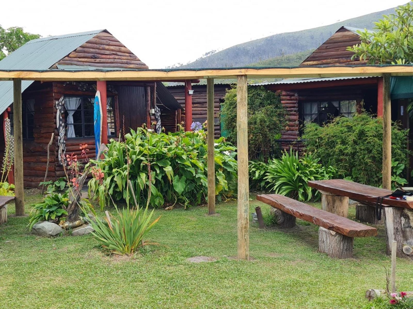 Tsitsikamma Wolf Sanctuary Eco Cabins & Teepees Stormsrivier Exterior foto