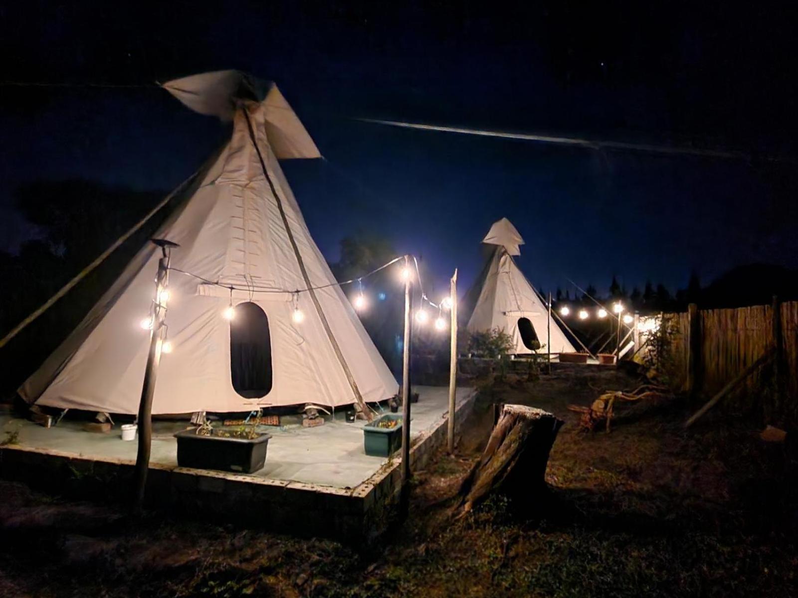 Tsitsikamma Wolf Sanctuary Eco Cabins & Teepees Stormsrivier Quarto foto
