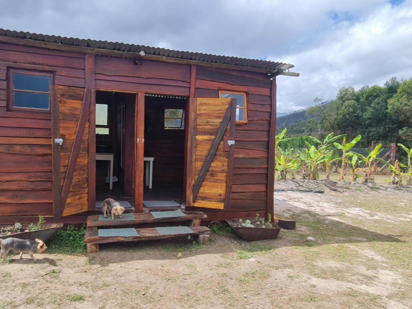 Tsitsikamma Wolf Sanctuary Eco Cabins & Teepees Stormsrivier Quarto foto